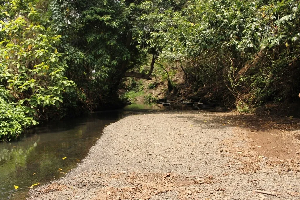  Río Bolas en la Aldea El Rosario, Champerico, el cual según denuncia de comunitarios fue desviado. Foto Ixmucané, REDSAG 